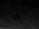 ������ �������-������� �� ������,yo! 009.jpg